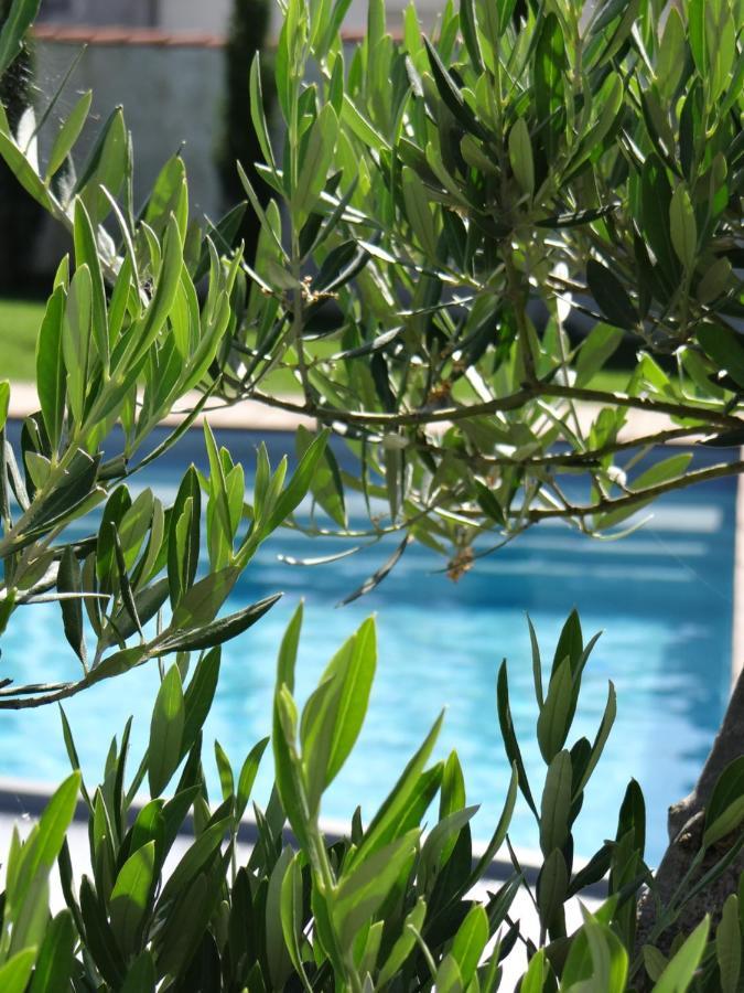 Les Marguerites Bed & Breakfast Champdolent ภายนอก รูปภาพ